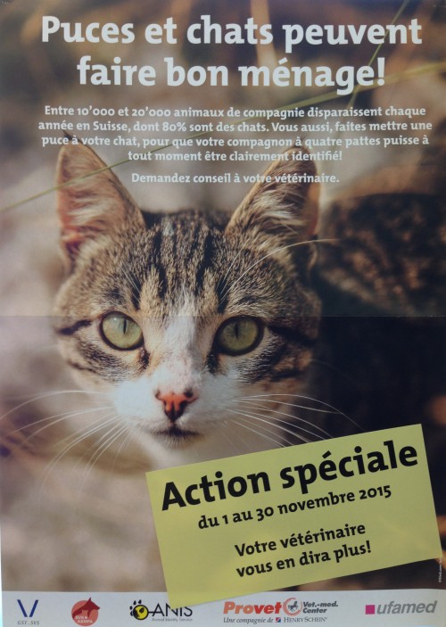 Action de novembre sur les puces électroniques